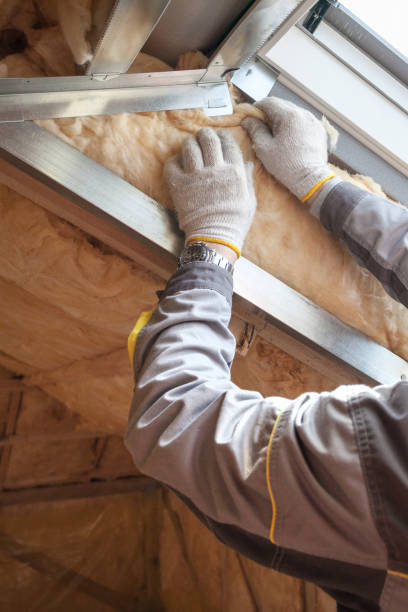 Best Residential Insulation in Maggie Valley, NC